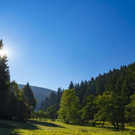 וילינגן The Conscious Farmer Bed And Breakfast Sauerland מראה חיצוני תמונה