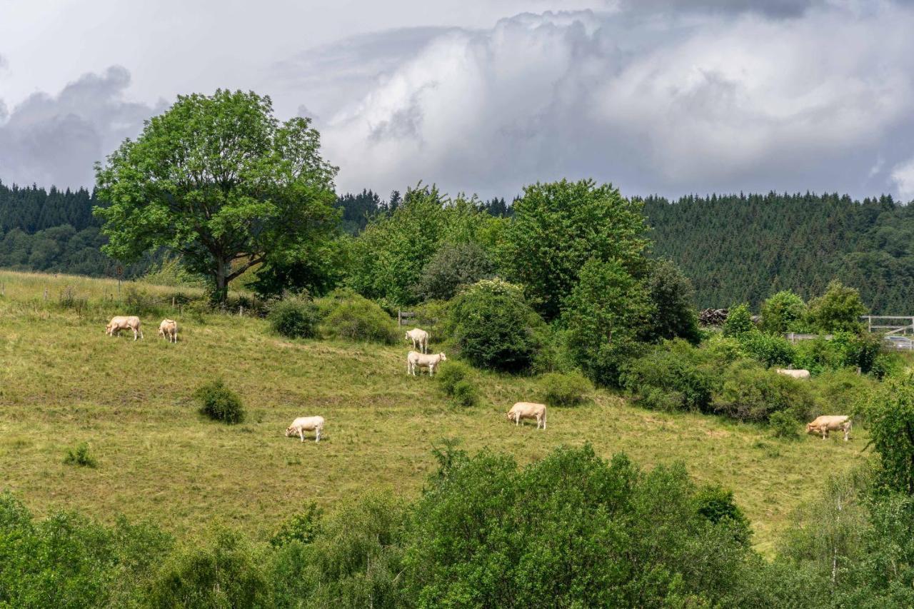 וילינגן The Conscious Farmer Bed And Breakfast Sauerland מראה חיצוני תמונה