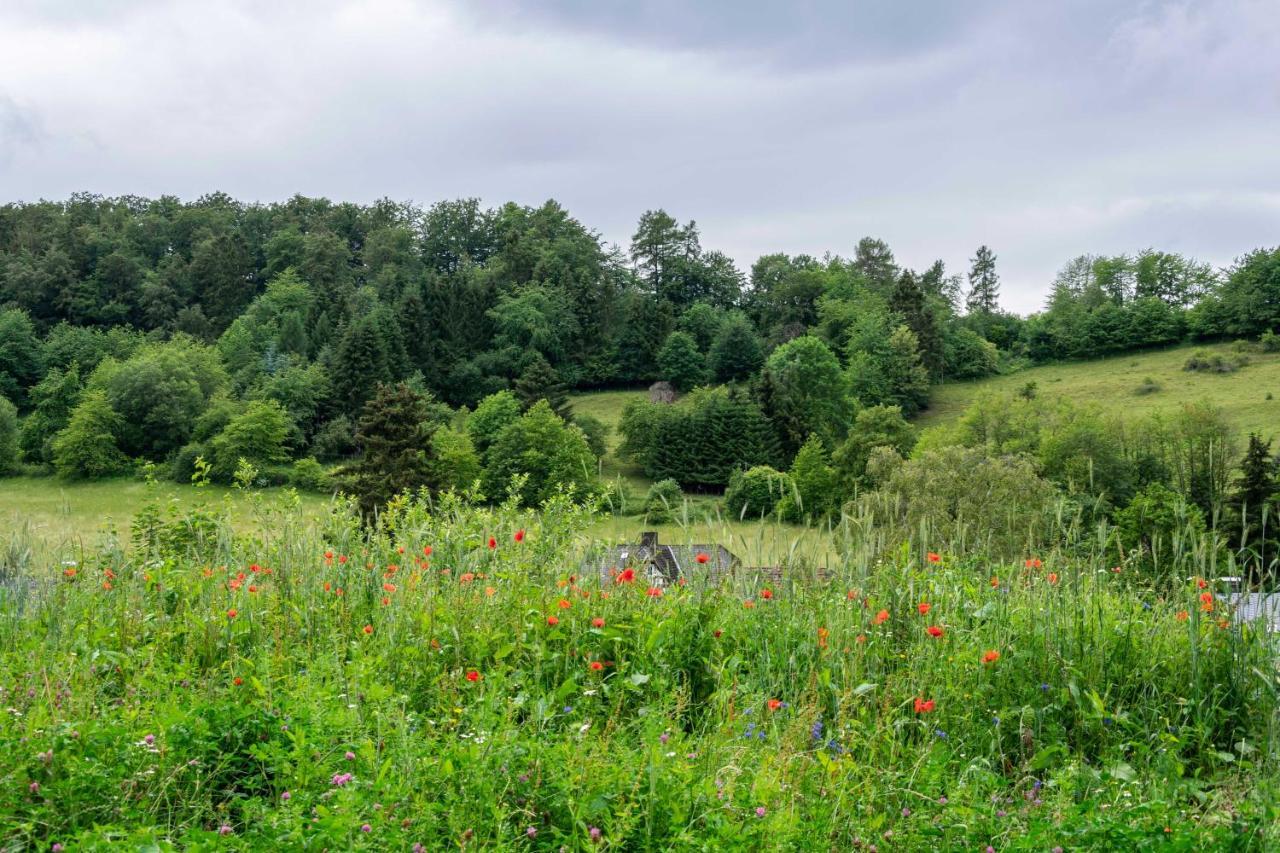 וילינגן The Conscious Farmer Bed And Breakfast Sauerland מראה חיצוני תמונה