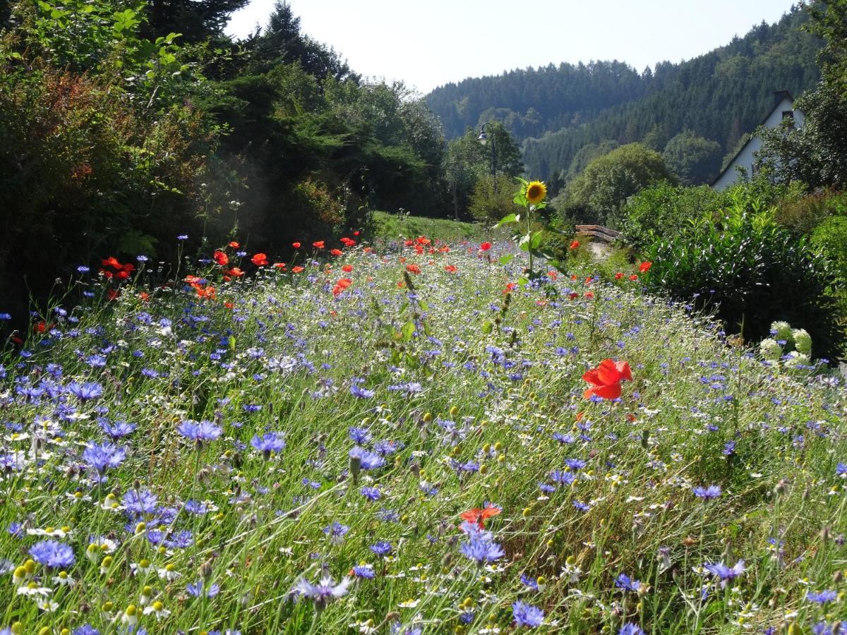 וילינגן The Conscious Farmer Bed And Breakfast Sauerland מראה חיצוני תמונה