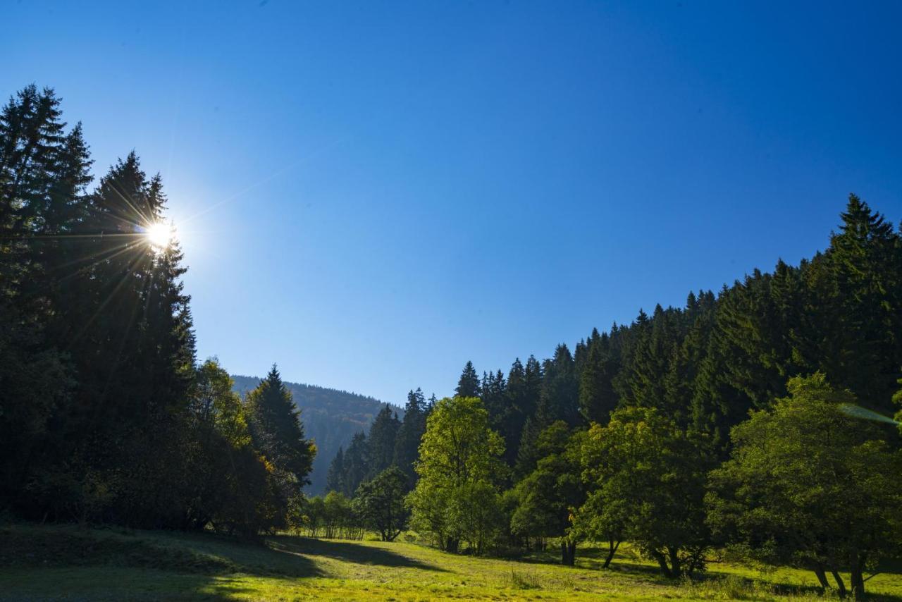 וילינגן The Conscious Farmer Bed And Breakfast Sauerland מראה חיצוני תמונה